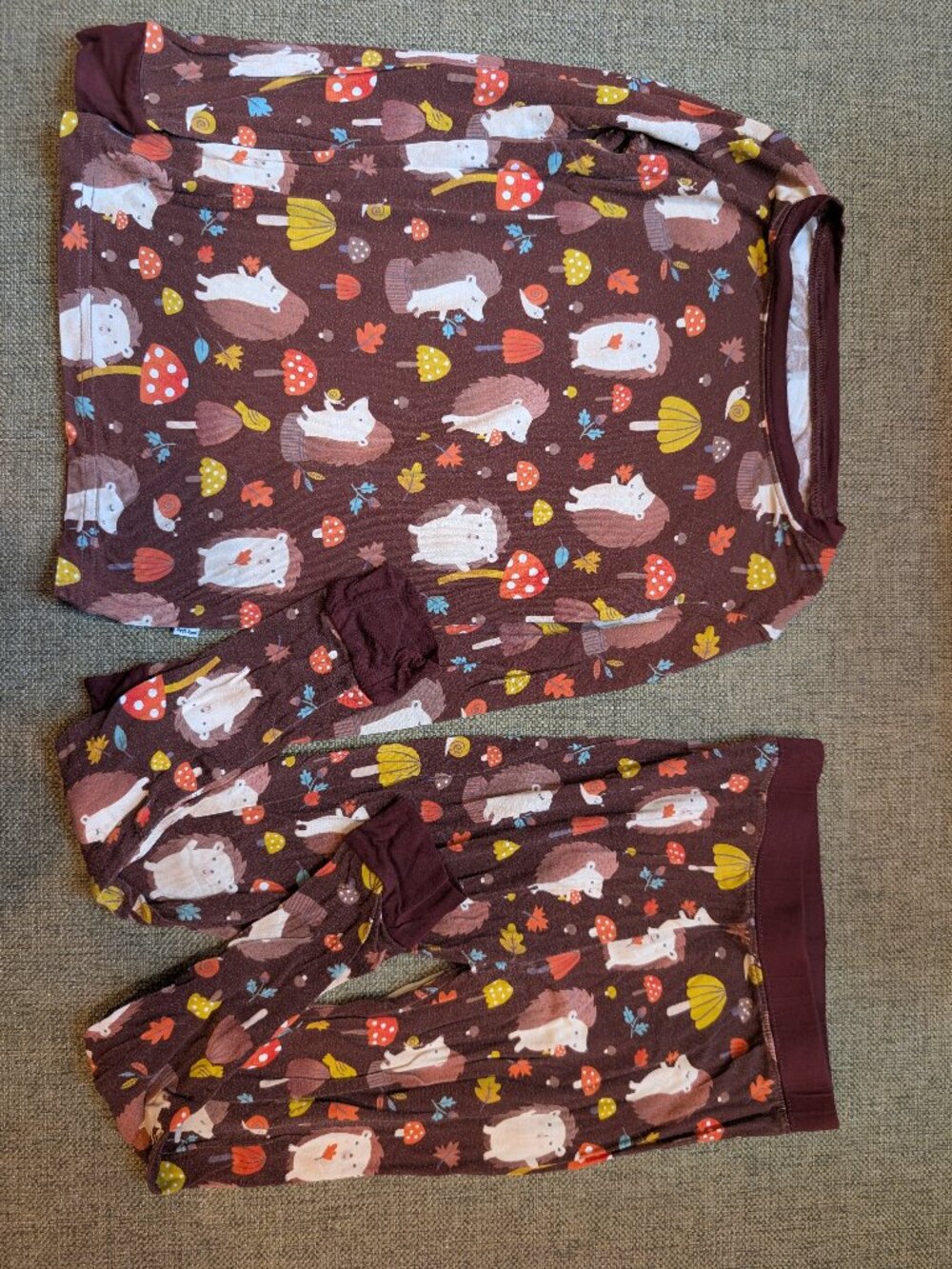 4T Little Sleepies Hedgehog Pajamas Set